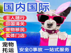 深圳宝安机场快递国际宠物托运 【国